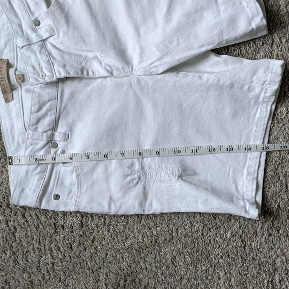 Max Studio Shorts - Picture 7 of 8